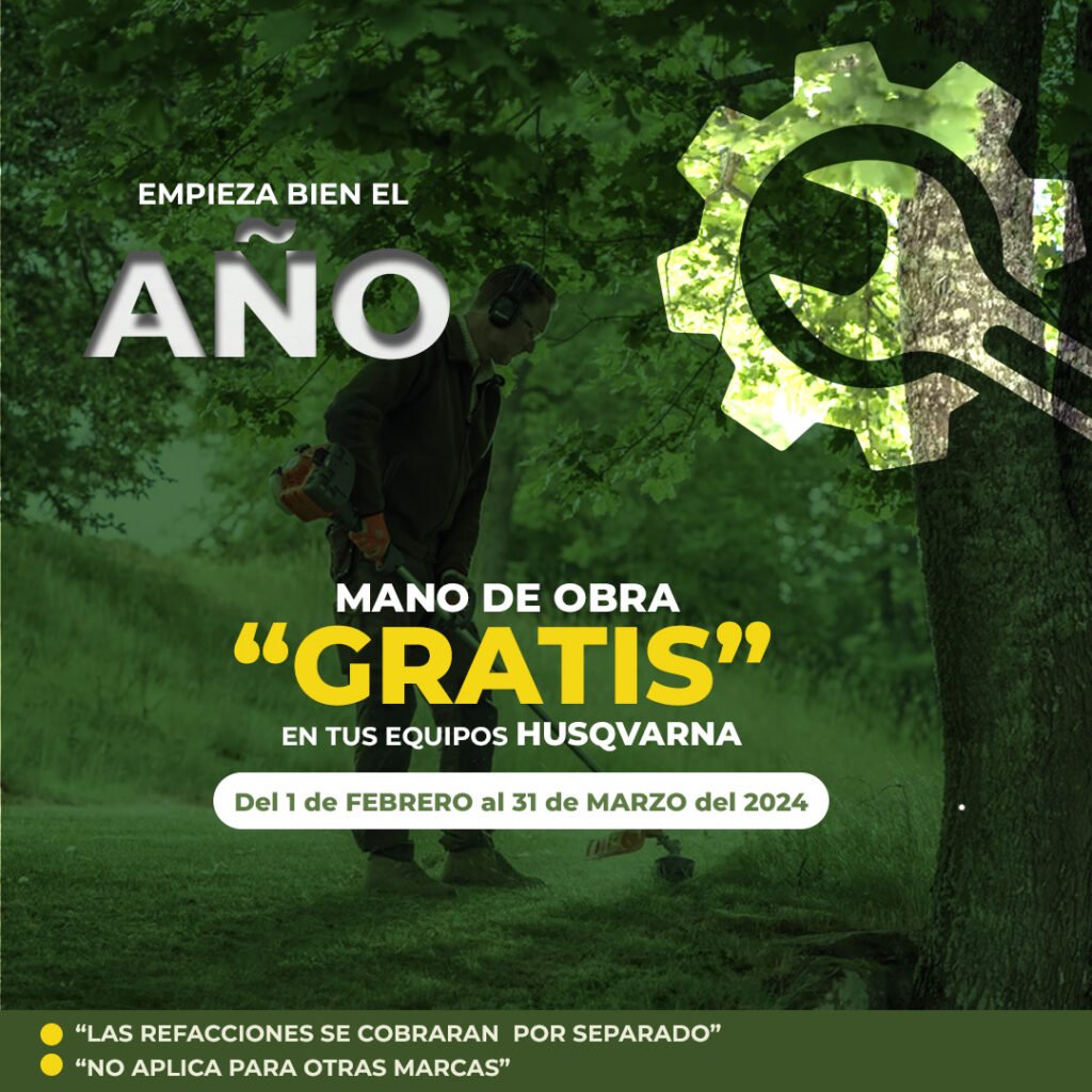 promocion serv gratis2024