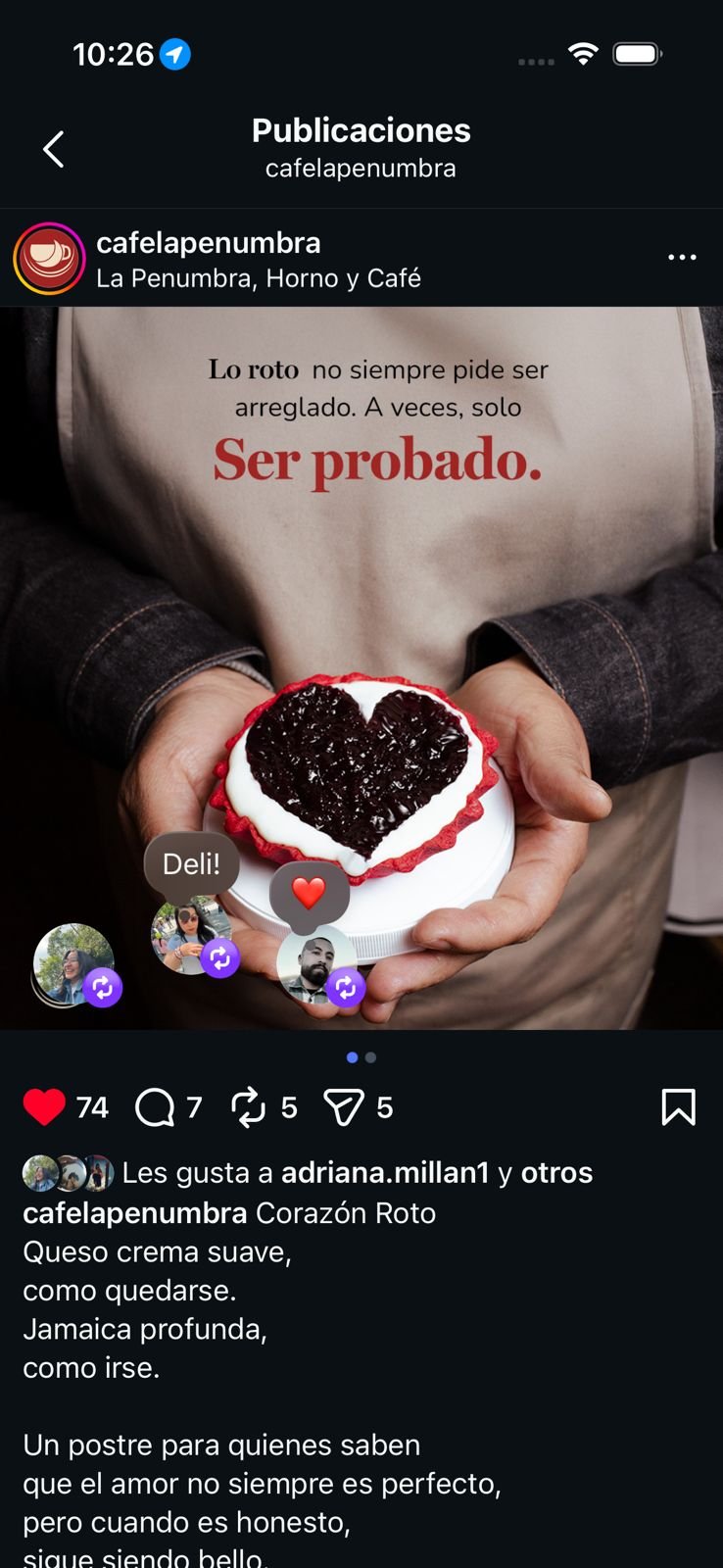 WhatsApp Image 2026-04-15 at 10.29.00 PM (1) - copia